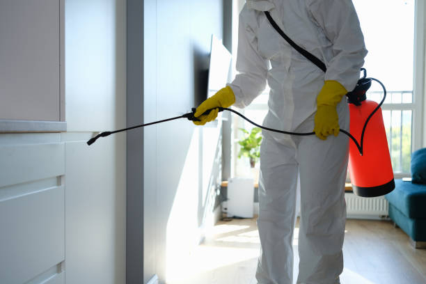 Certified Mold Removal in Wallace, ID