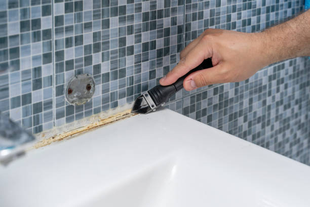Best Office Mold Removal Services  in Wallace, ID
