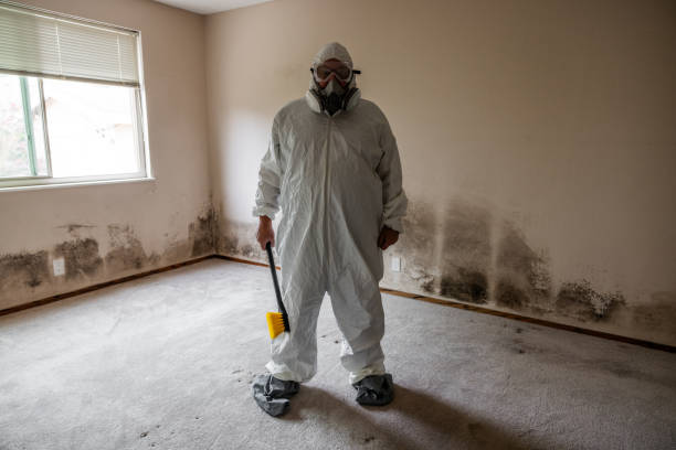 Best Residential Mold Removal  in Wallace, ID